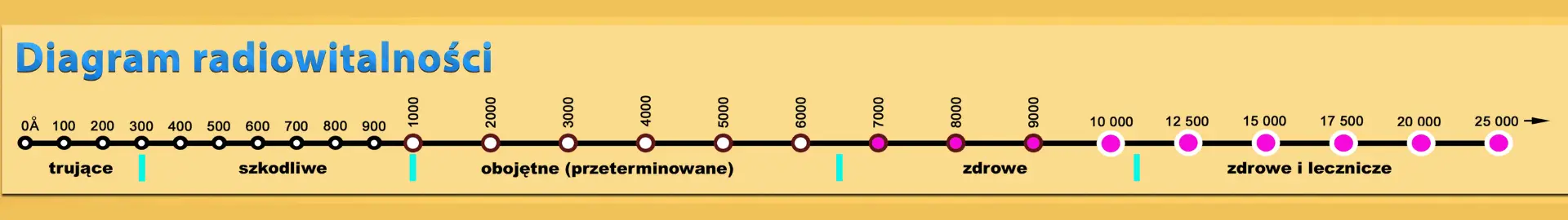 Diagram radiowitalności