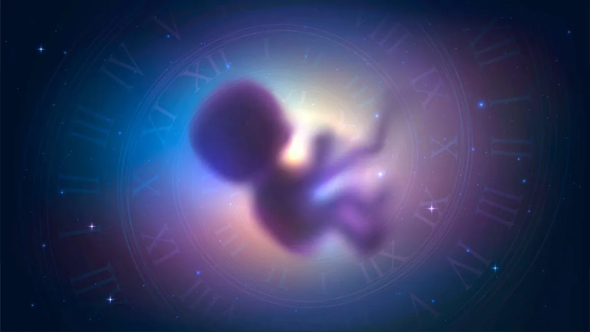 Symbol reinkarnacji – dusza przed narodzinami w cyklu poprzednich wcieleń