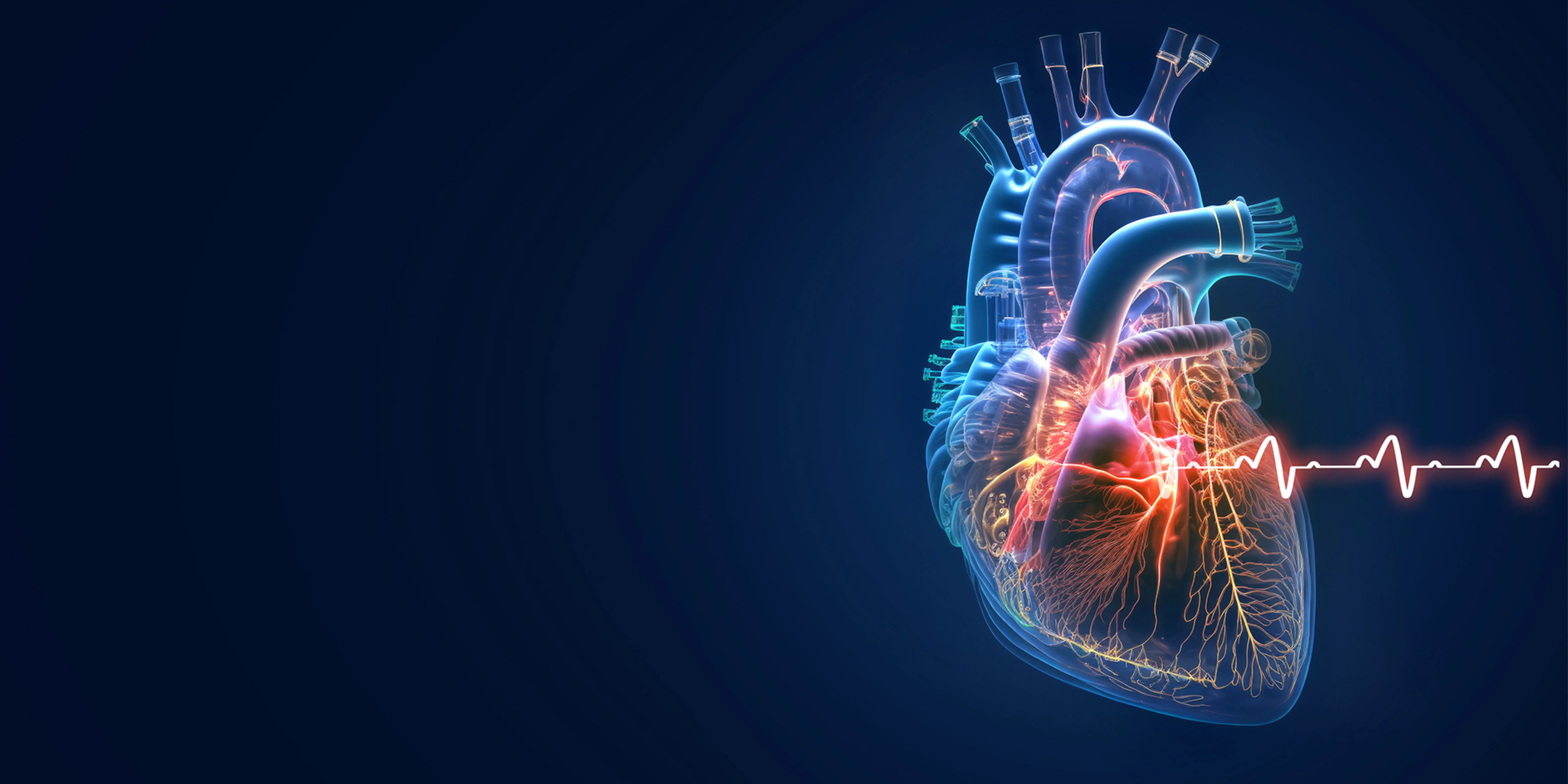wpływ sportu na serce i układ krążenia