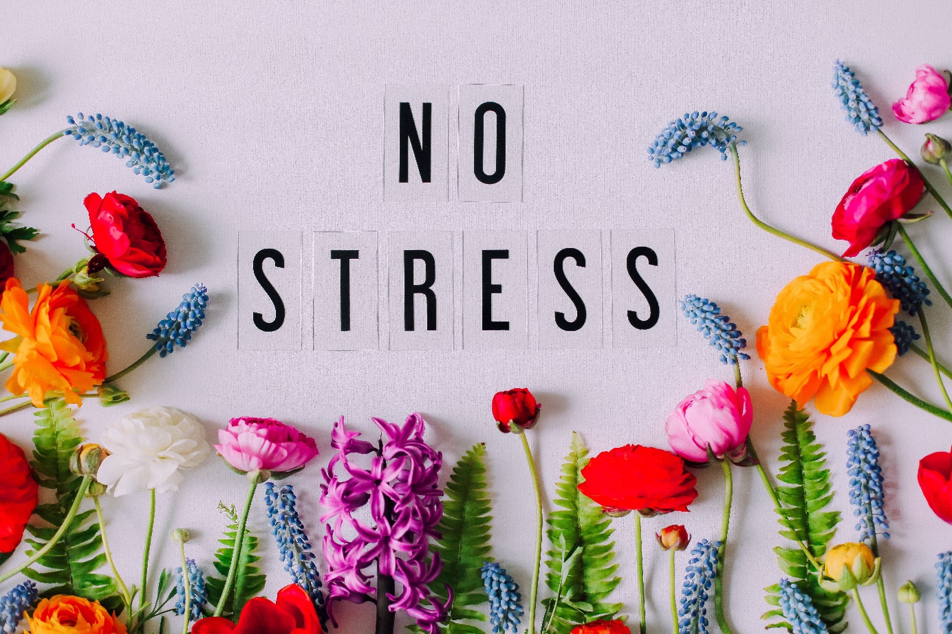 stres emocjonalny - no stress
